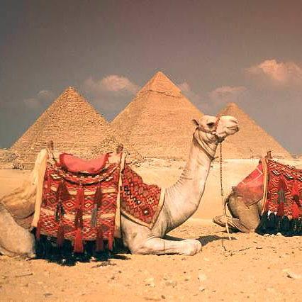 egypt